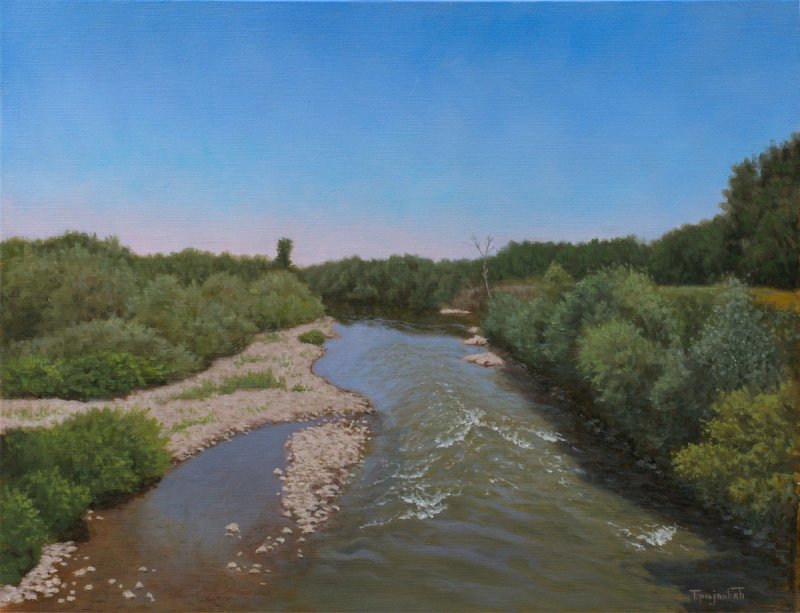 View from the Old Bridge in Summer, Painting Trajković Dejan