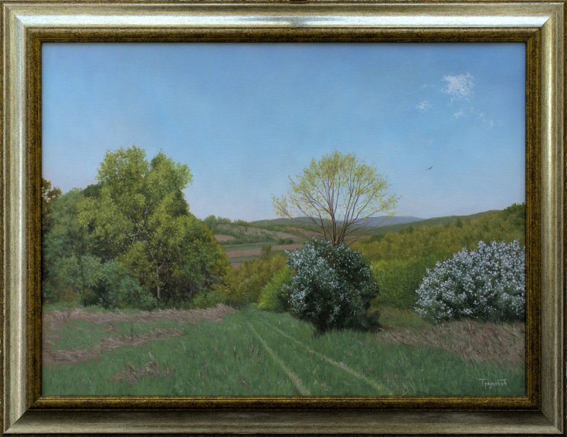 The Meadow in Spring, Painting Trajković Dejan