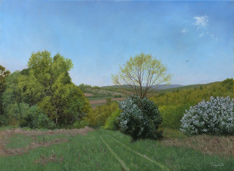 The Meadow in Spring, Painting Trajković Dejan