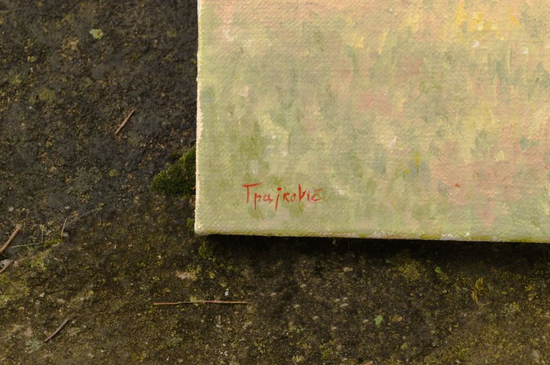 The Hut, Painting Trajković Dejan