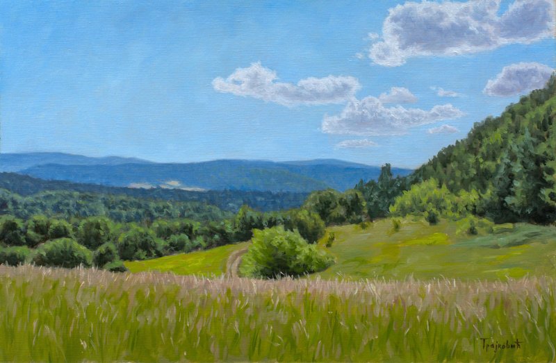 Meadow on the Mountain, Painting Trajković Dejan