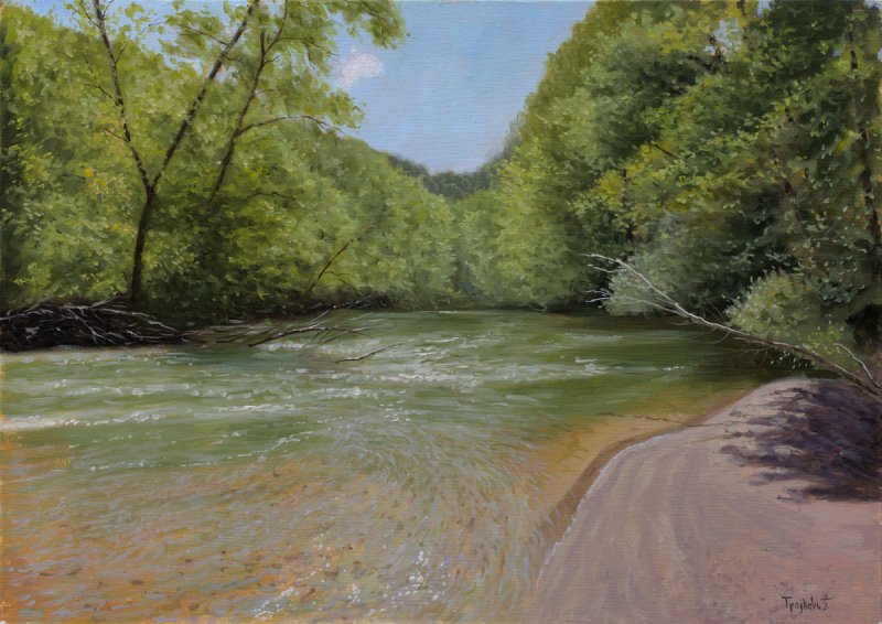 Green Day, Painting Trajković Dejan