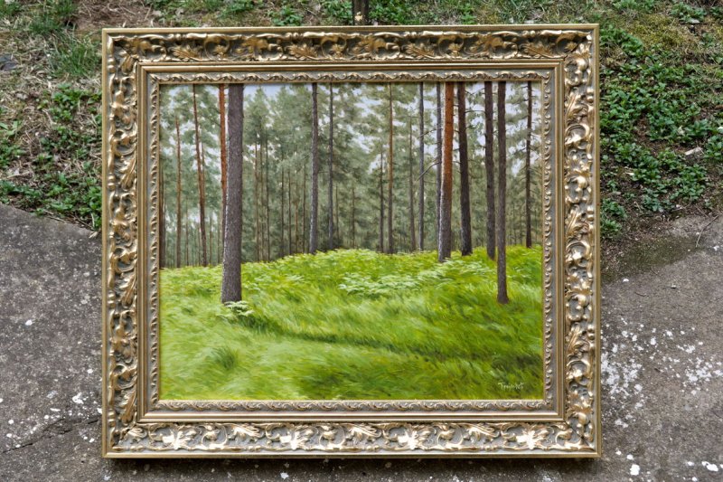 Summer in the Pine Forest, Painting Trajković Dejan