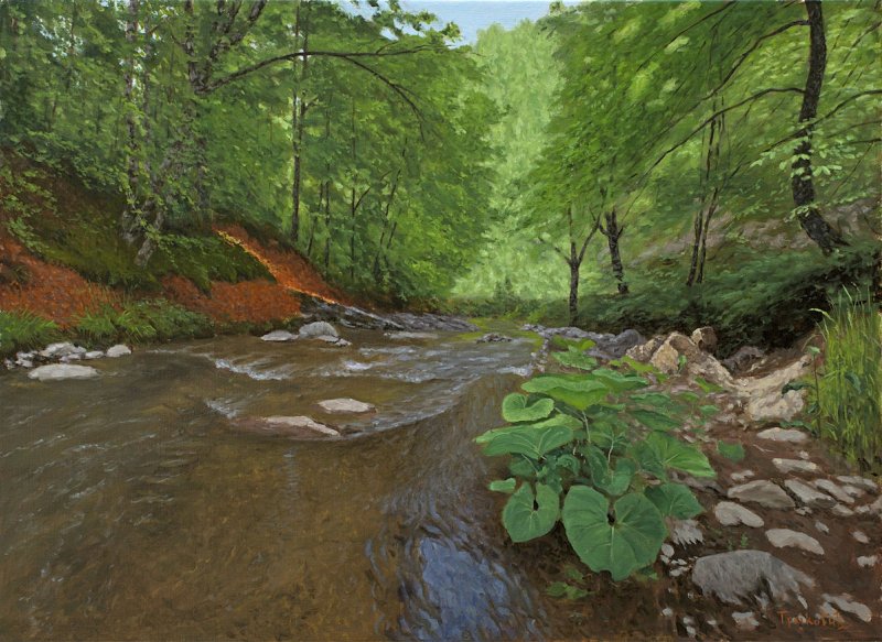 Landscape from Wolf River, Painting Trajković Dejan