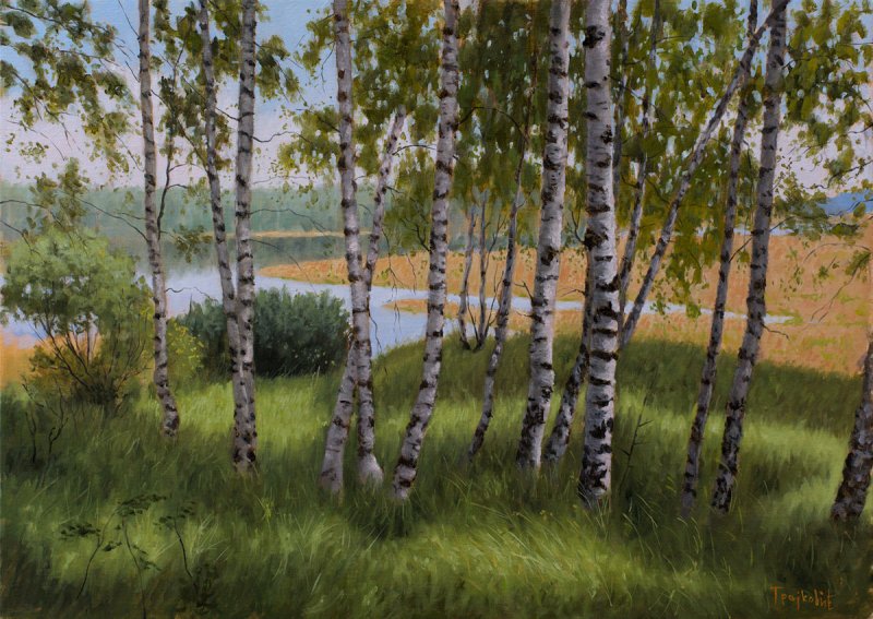 Birches Beside the Lake, Painting Trajković Dejan