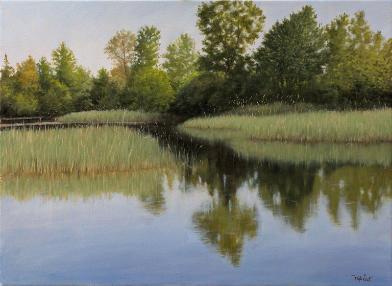 Balrush Swamp