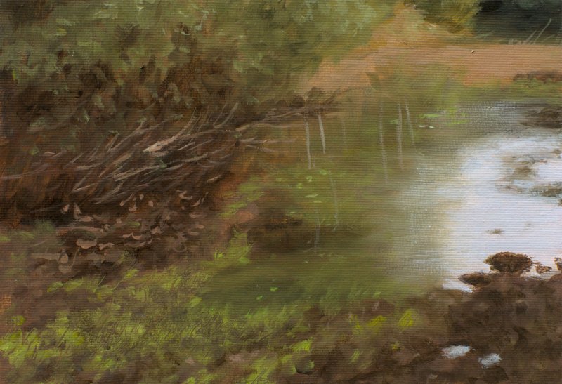 Peat Bog, Painting Trajković Dejan