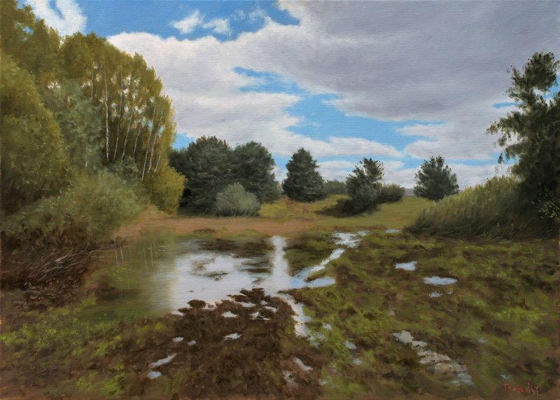 Peat Bog, Painting Trajković Dejan