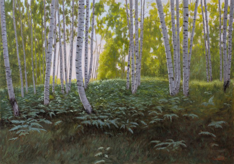The Ferns in the Birch Forest, Painting Trajković Dejan