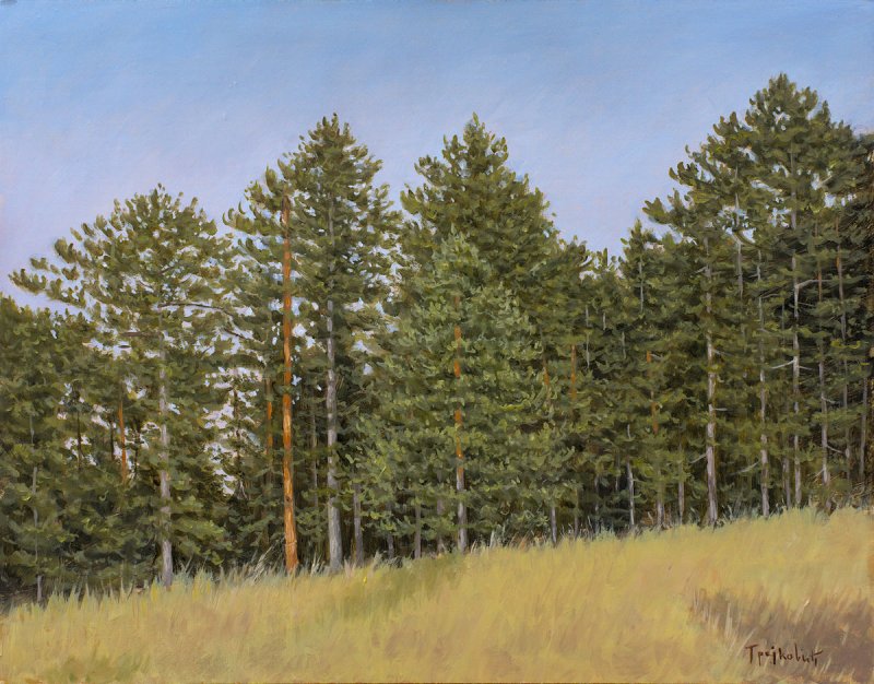 Take a Breath, Painting Trajković Dejan