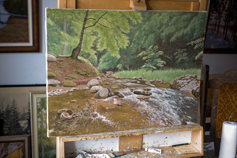 Stream and Rock, Painting Trajković Dejan