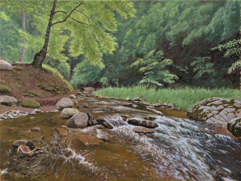 Stream and Rock, Painting Trajković Dejan