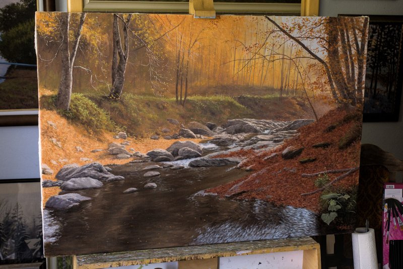 A Wooded River, Painting Trajković Dejan