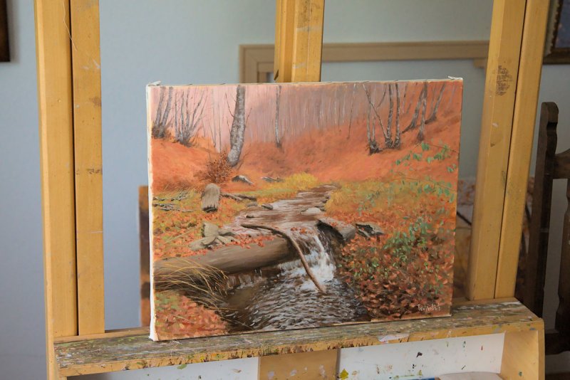 Rain Jacket, Painting Trajković Dejan