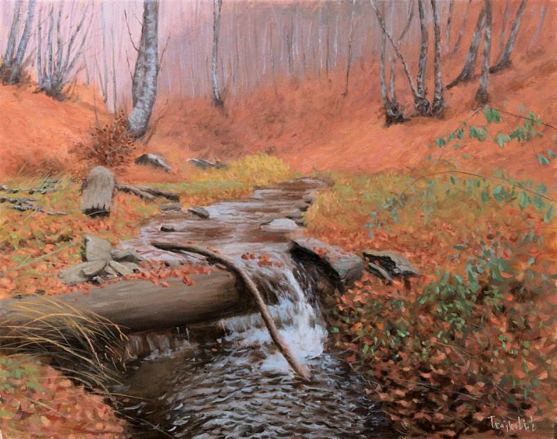 Rain Jacket, Painting Trajković Dejan