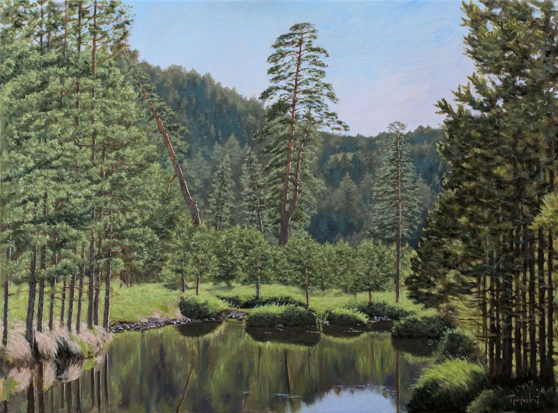 Pond Between Pines, Painting Trajković Dejan