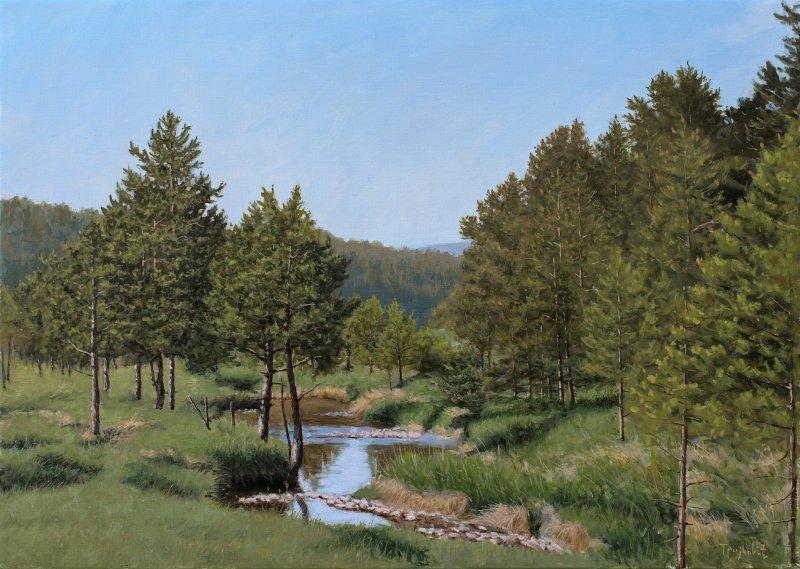 Pines and Mountain Stream, Painting Trajković Dejan