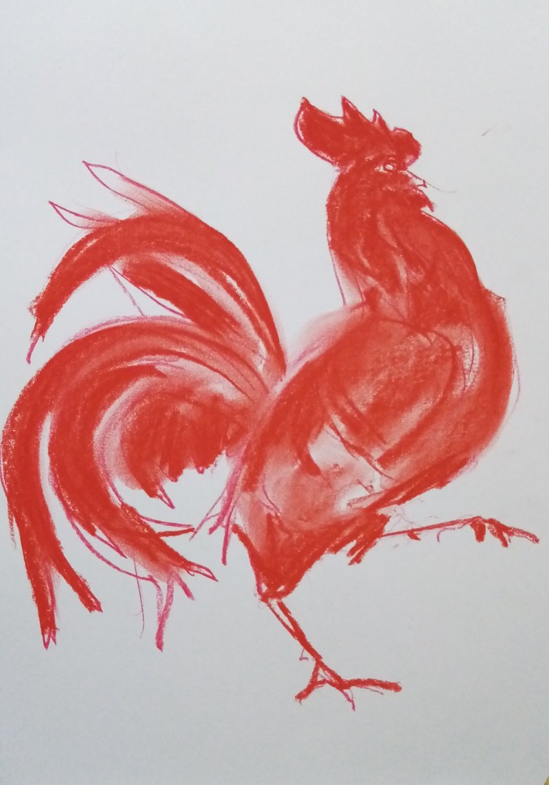 Red rooster, Painting Cvetkovic Dragan Cvele