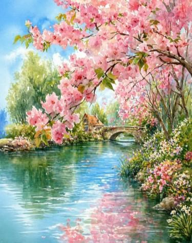 Spring beauty