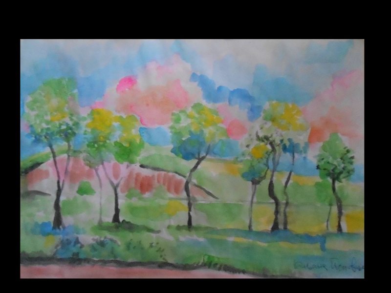 Savino leto, Painting Polovina Biljana