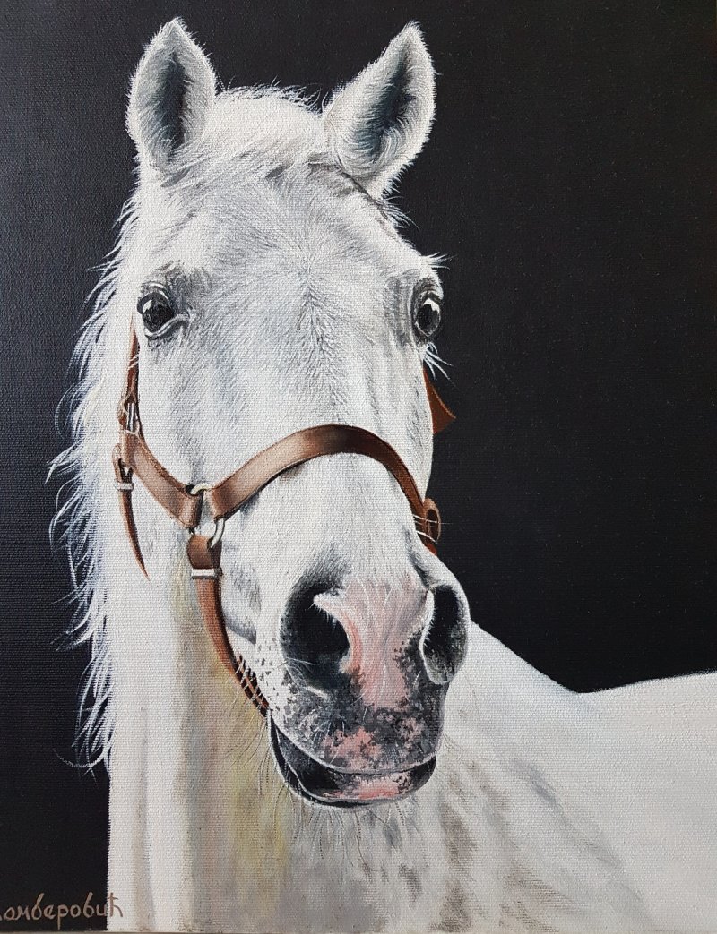 Horse XL