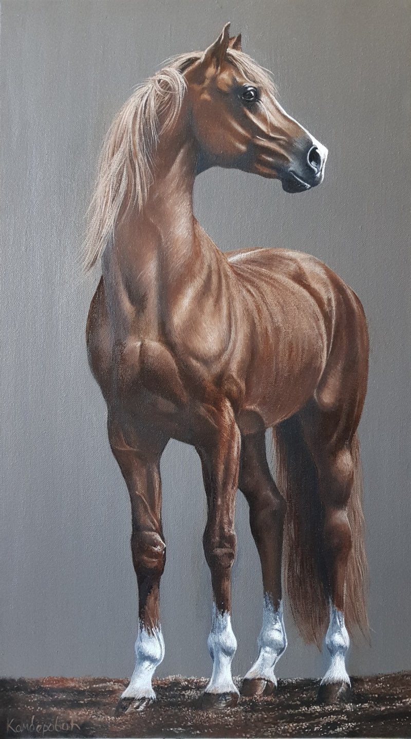 Horse LII, Painting Kamberović Udait