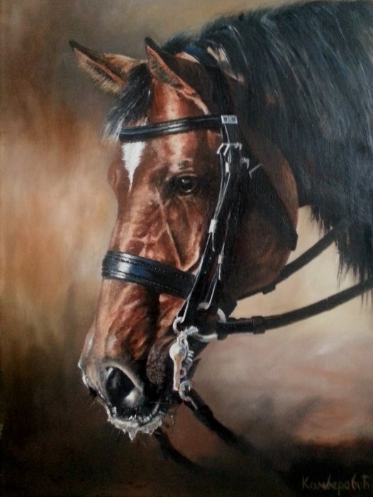 Horse X, Painting Kamberović Udait