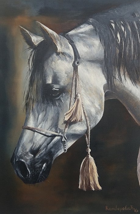 Konj XV, Painting Kamberović Udait