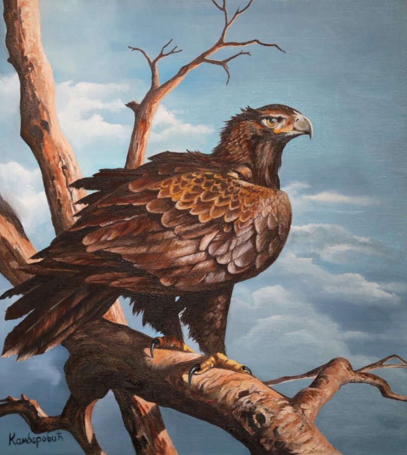 The Eagle, Painting Kamberović Udait