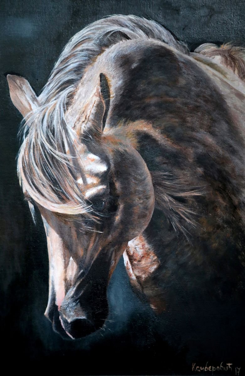 Horse XV, Painting Kamberović Udait