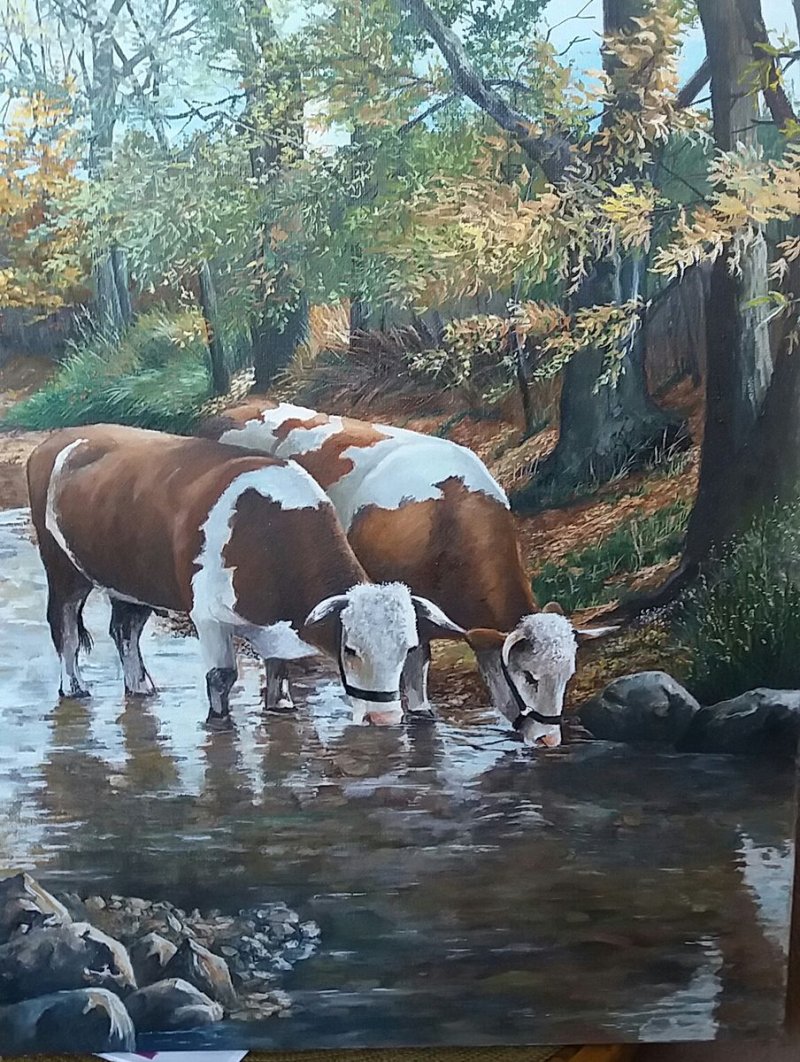 Cows, Painting Kamberović Udait