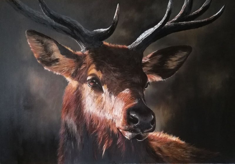 Deer, Painting Kamberović Udait