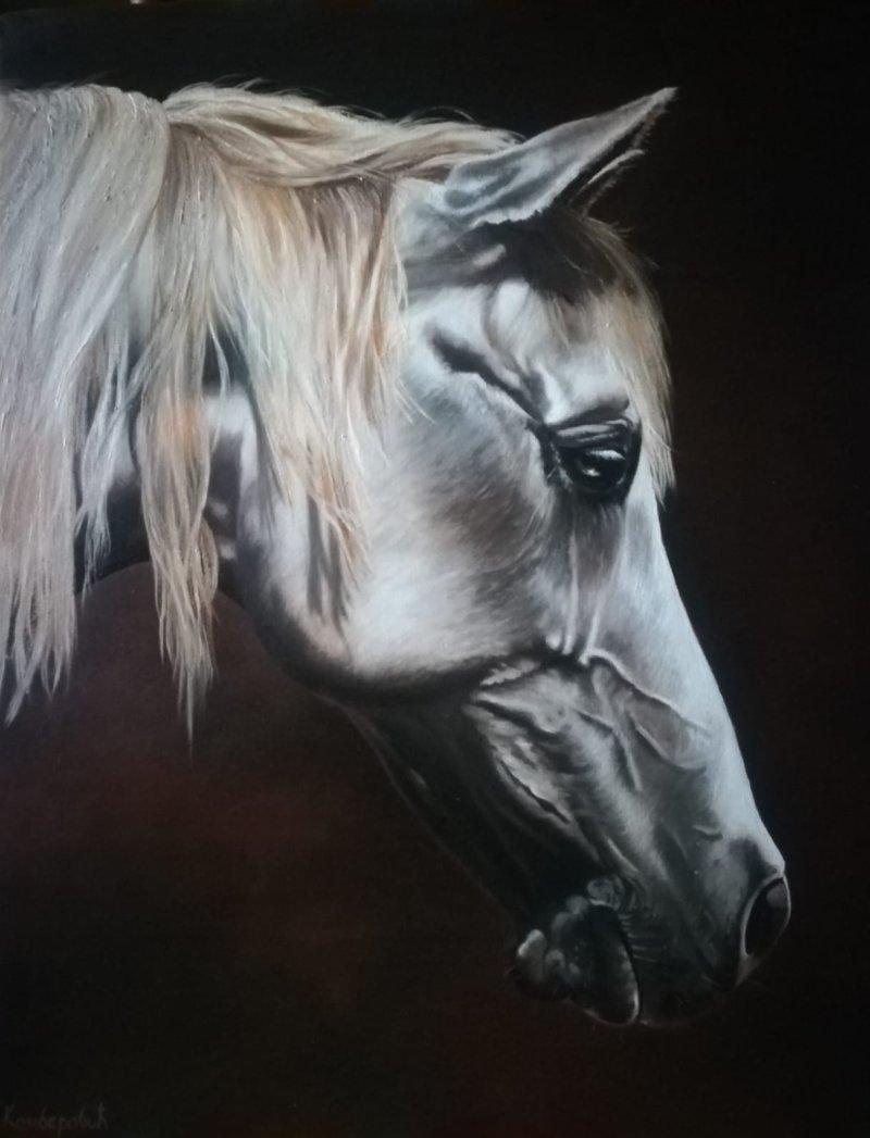 Horse XXXIV, Painting Kamberović Udait