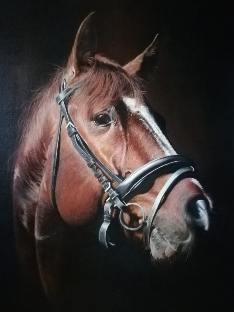 Horse XXXV, Painting Kamberović Udait