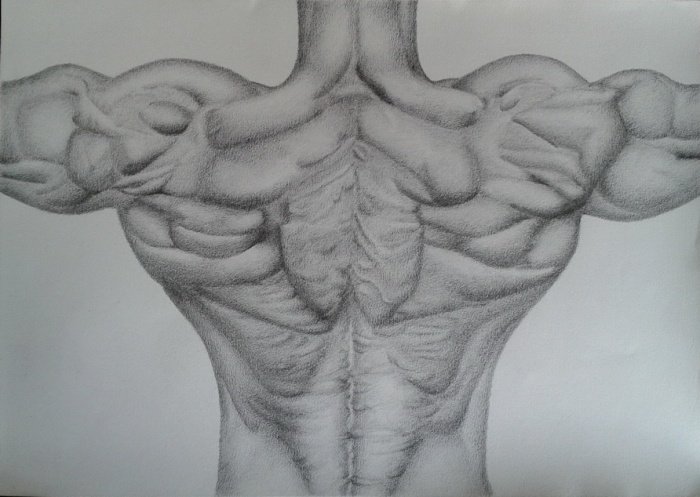 Body, Drawing Šurlan Nebojša