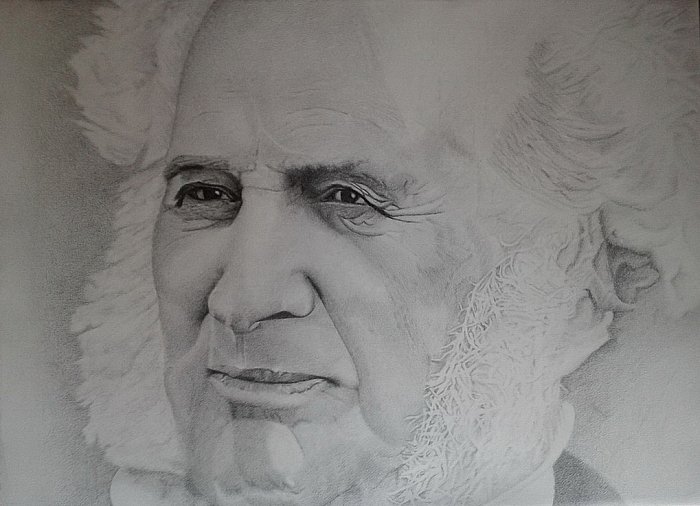 Vanderbilt, Drawing Šurlan Nebojša