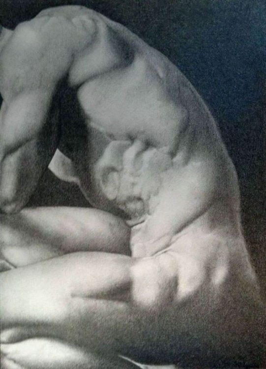 Male torso, Drawing Šurlan Nebojša