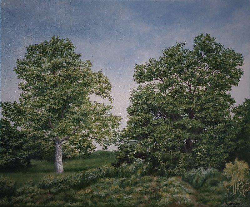 Summer landscape, Painting Šurlan Nebojša