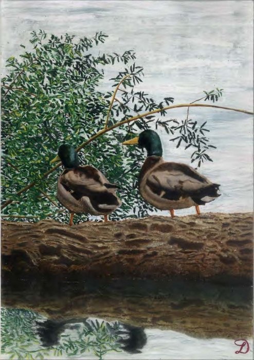 Two wild ducks, Painting Labović Dusan