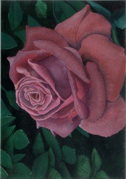 lightred rose, Painting Labović Dusan
