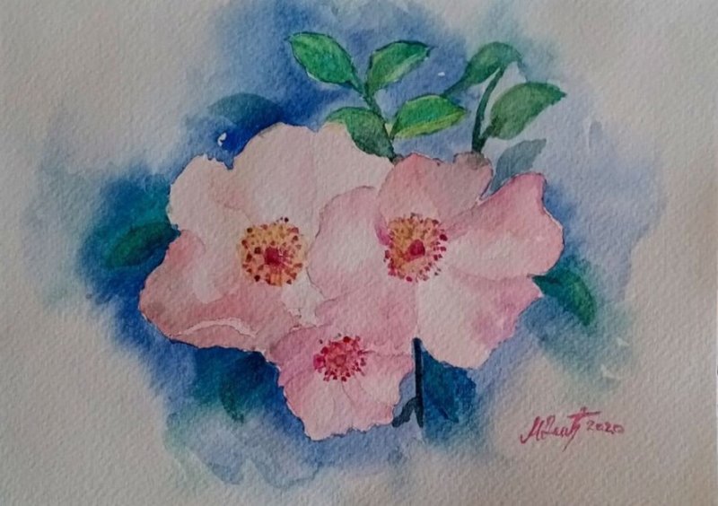 Wild rose, Painting Delic Mirjana