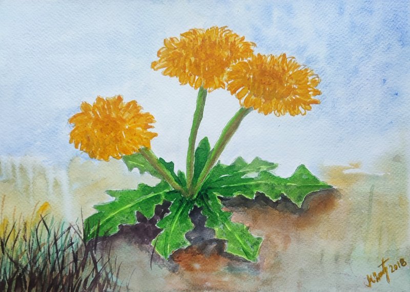 watercolor 12, Painting Delic Mirjana