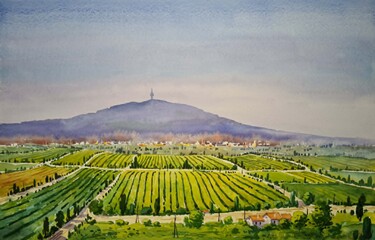 Slika na zidu: Fruška Gora