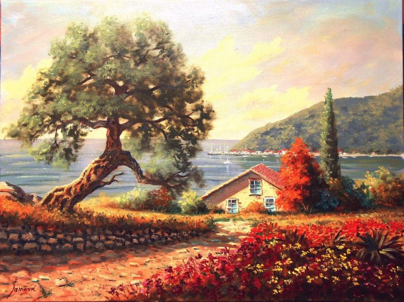Old olive, Painting Borko Šainović