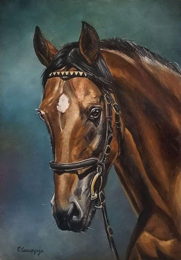 Horse 2, Painting Samardzija Olivera Olja