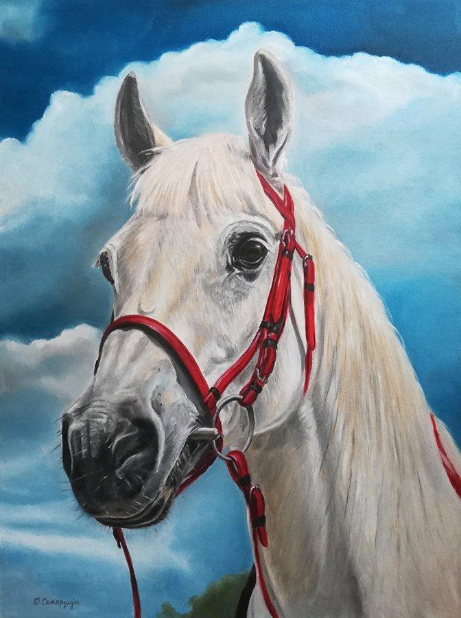 Horse Lasta, Painting Samardzija Olivera Olja