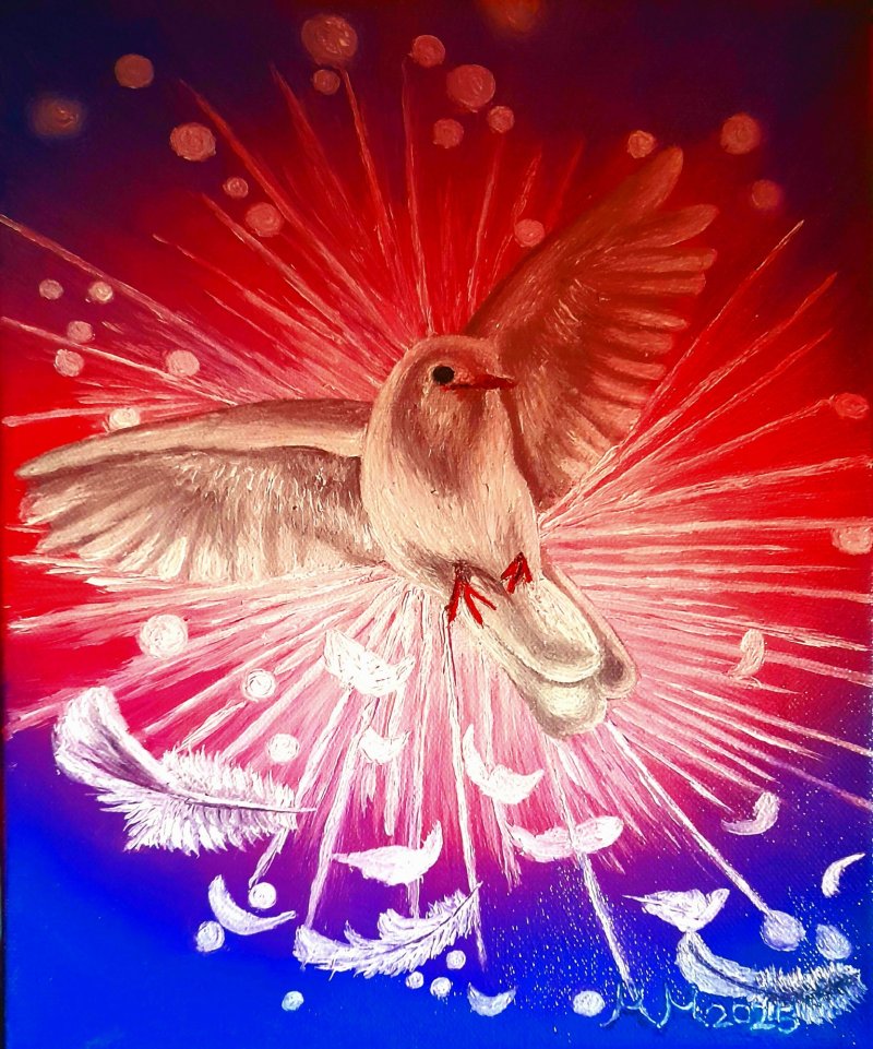 White the pigeon, Painting Marija Mitrovic