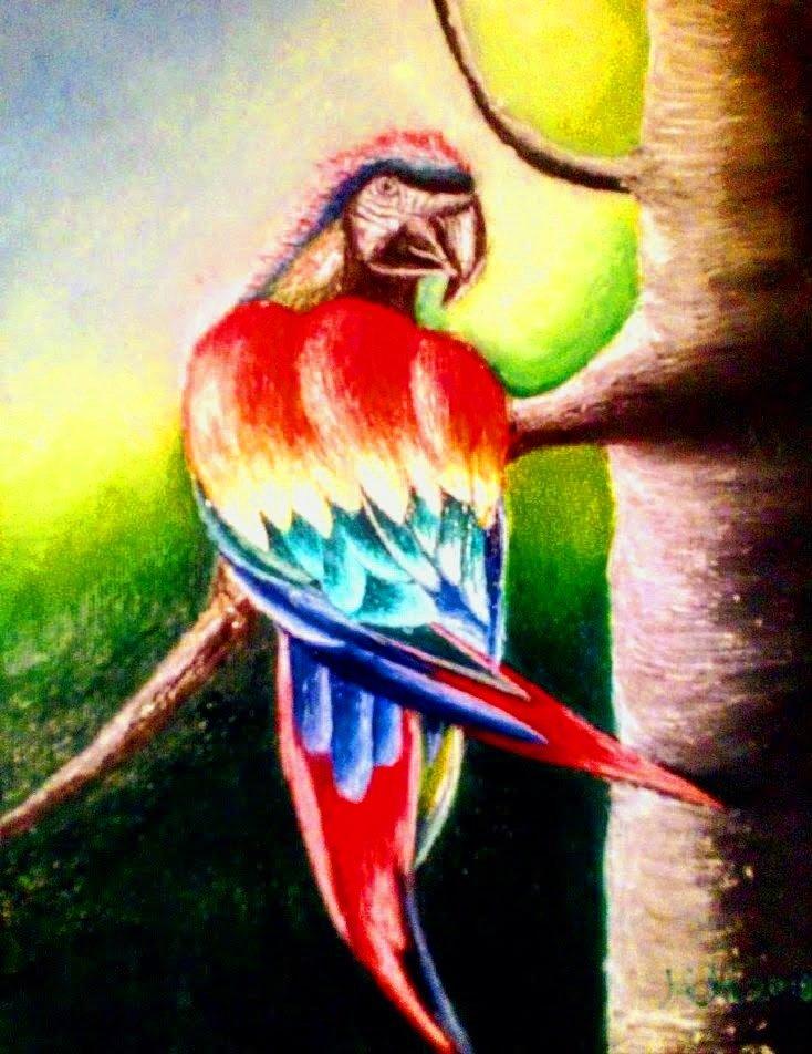 Rainbow parrot, Painting Marija Mitrovic