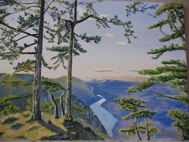 Tara, Painting Malbašić Verica