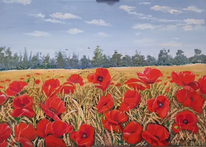Poppies, Painting Malbašić Verica